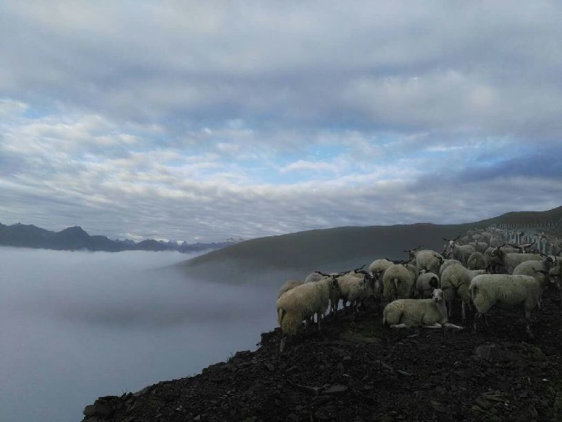 国】达瓦更扎看云海AG真人【大美中(图2) 国】达瓦更扎看云海AG真人【大美中(图2)